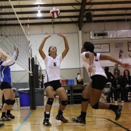 Senior girls volleyball captain Monica Dayao sets a ball at the Texas Tornados Tournament. (Courtesy of Monica Dayao)