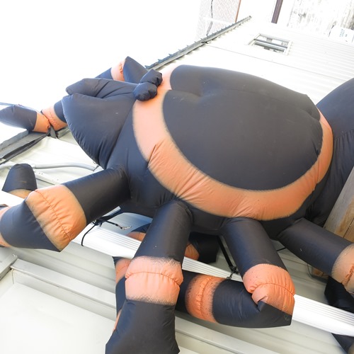 Scary or cute? An inflatable spider outside the art trailer adds some fright on campus.