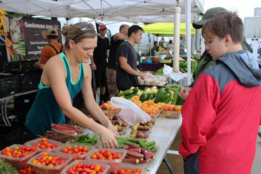 A Day at the Urban Harvest Farmers Market