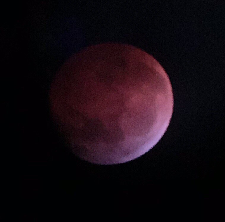 Students viewed the Super Blood Wolf Moon eclipse from the top of the Taub parking garage.