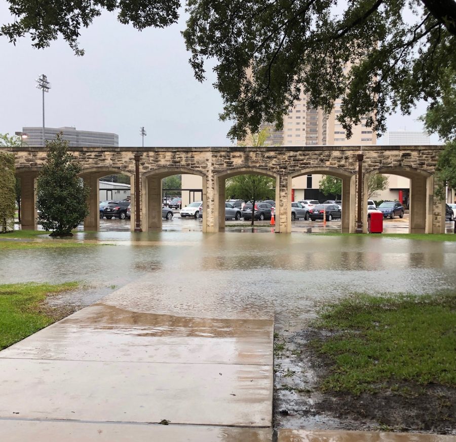 Rain covers the path between the Lower School carpool lane and the VST.