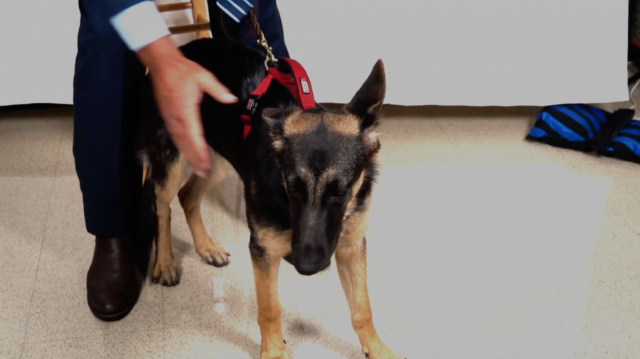 Sheba joined the Upper School as a member of the security team this year. 