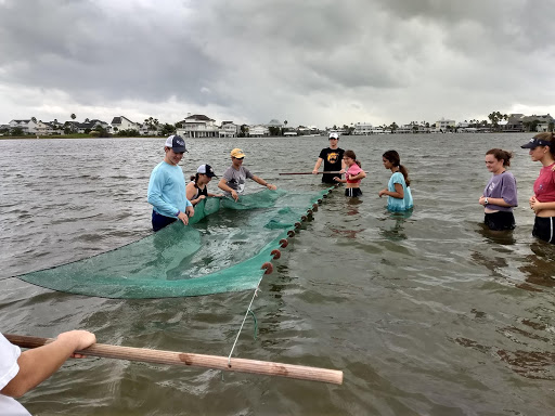 With storm clouds brewing behind them, students in the water compared muddy and sandy ecosystems by dragging nets through the water to examine the species that inhabited the area, including stingrays and jellyfish.