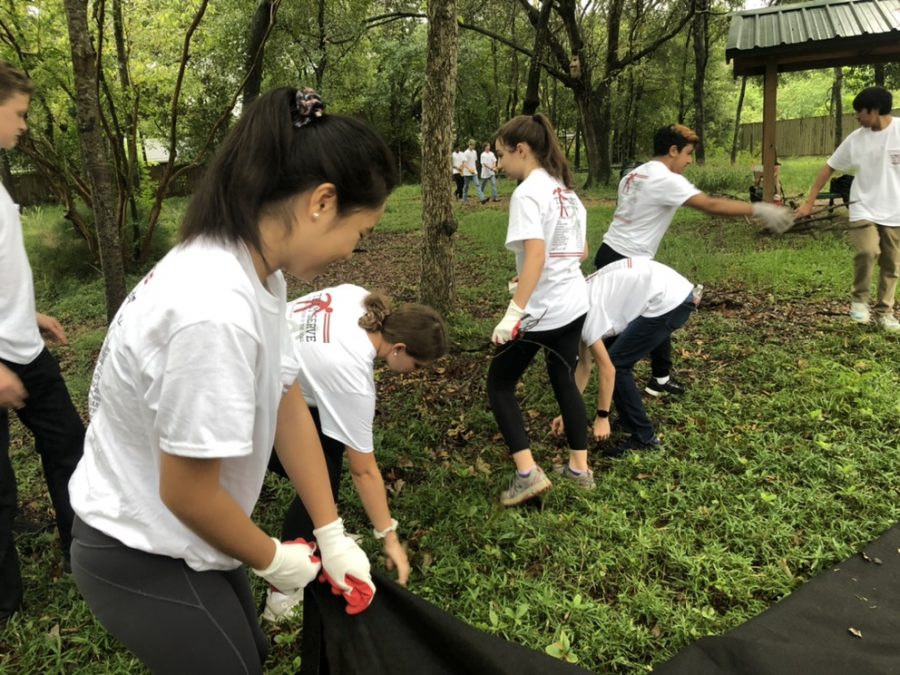 The Turville and Hegeman advisories weeded and covered invasive plants at the Don Green Nature Park.