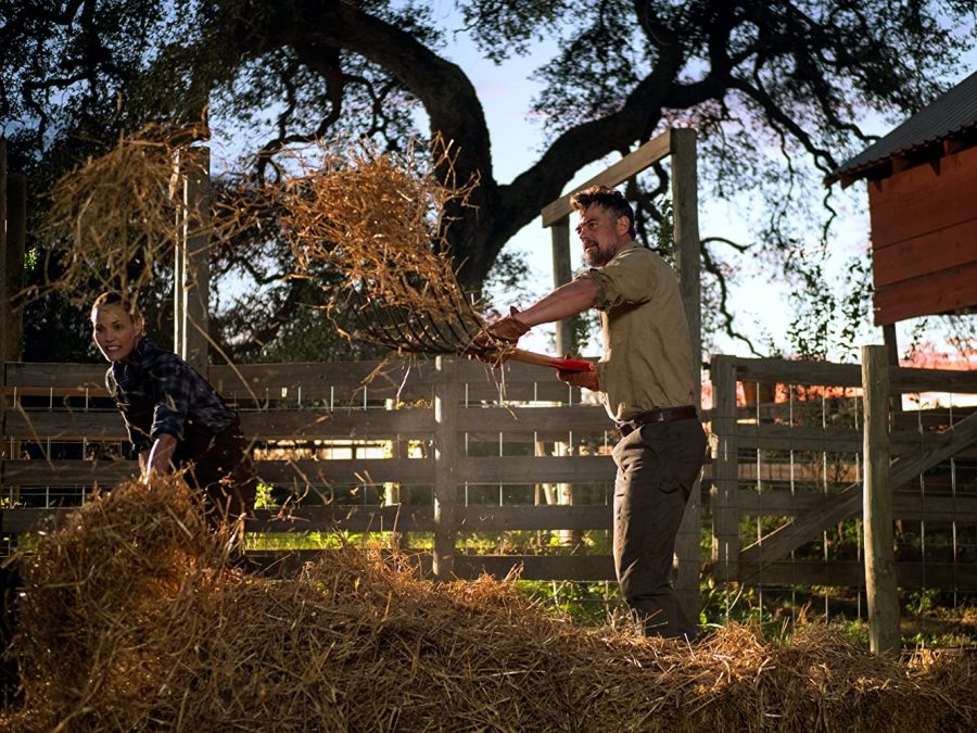 The Lost Husband captures a love story between recently widowed Libby and a shaggy, gruff farm manager, James O’Connor.