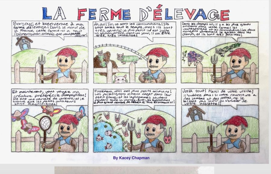 Kacey Chapmans comic won first place in the Level 3 division. 