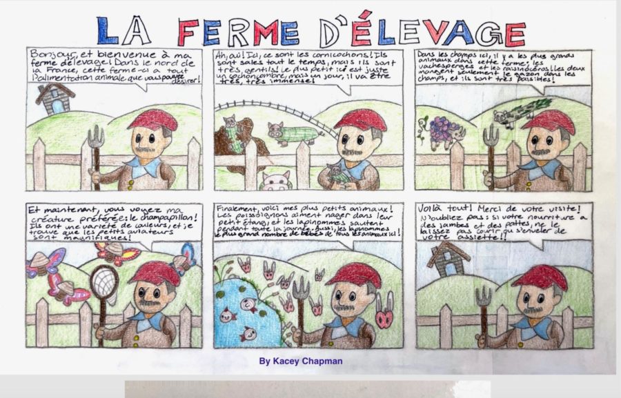 Kacey Chapman's comic won first place in the Level 3 division. 