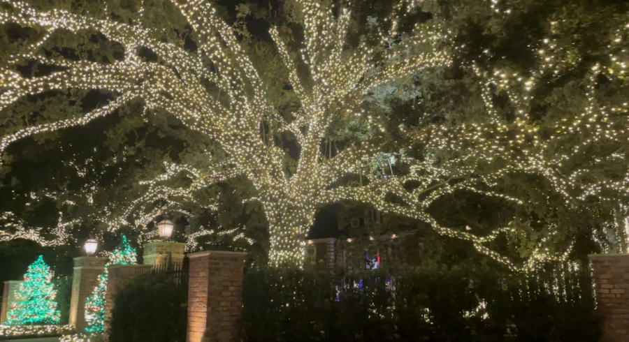During the holiday season, households decorate their yards with elaborate lights.