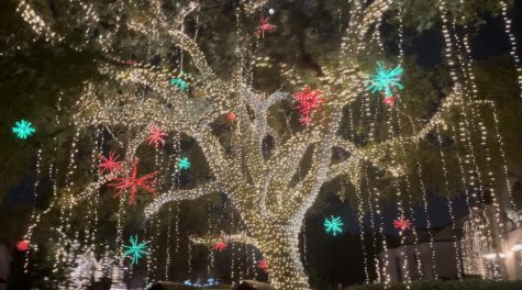 The Review Online drove through the holiday lights set up in River Oaks.