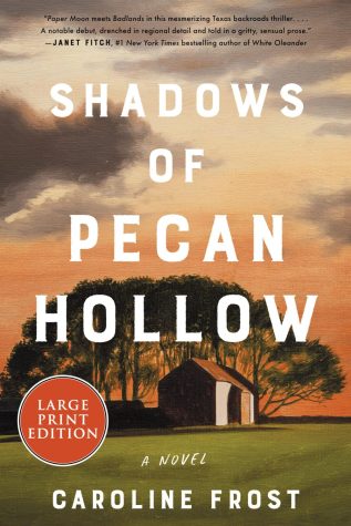 Shadows of Pecan Hollow, set in East Texas in the 1980s and 1990s, recounts the tale of Kit Walker, a teenage fugitive-turned single mother, and her quest to escape her former lover. 