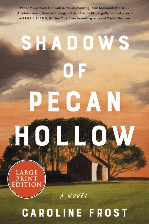 Shadows+of+Pecan+Hollow%2C+set+in+East+Texas+in+the+1980s+and+1990s%2C+recounts+the+tale+of+Kit+Walker%2C+a+teenage+fugitive-turned+single+mother%2C+and+her+quest+to+escape+her+former+lover.%C2%A0