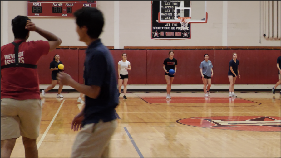 Video: Review vs. Quadrangle dodgeball match highlights