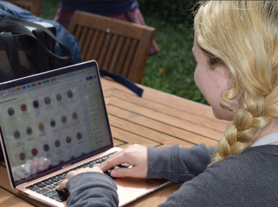 Junior Gabriella Saadia edits the Club Hub page in the Plaza.