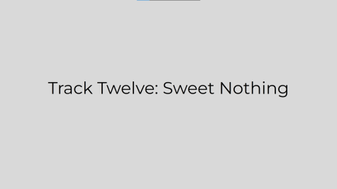 Track Twelve: Sweet Nothing