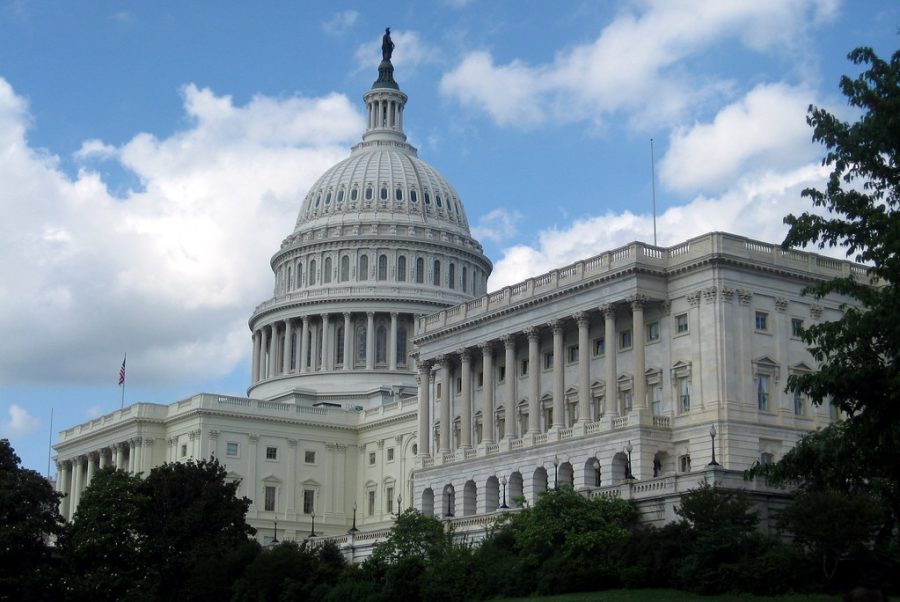 On Jan. 6 after fifteen rounds of voting, the House finally elected Representative Kevin McCarthy (R-CA) as their Speaker.