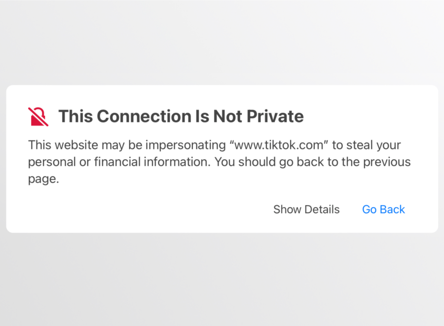 This+pop-up+appears+when+students+try+to+access+TikTok+through+Safari+while+using+the+Schools+WiFi.