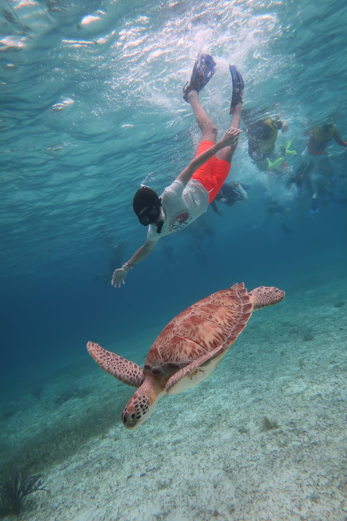 Scuba diving is an underwater activity that uses tanks filled with compressed air so that divers can explore deep underwater. 