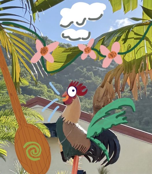 The Disney live action remake of Moana is scheduled to come out on July 10, 2026. We hope that we do not see a talking Hei Hei!
