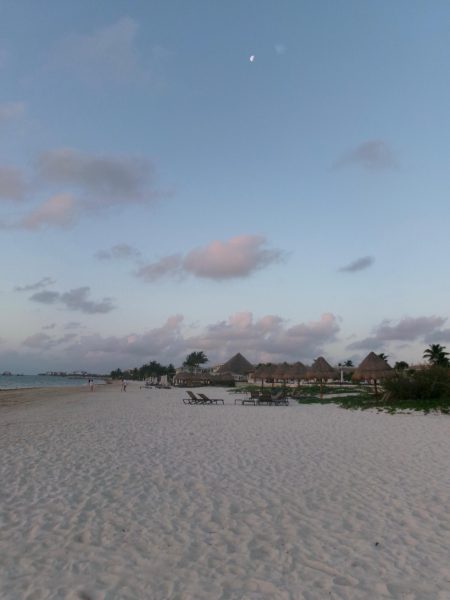 On the other side of the globe, Mexico faced its own set of military extremes. The senior spring break, a hallmark of senior culture, included common destinations such as the Bahamas and Mexico.